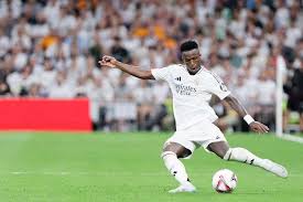 审议并讨论 审议并讨论